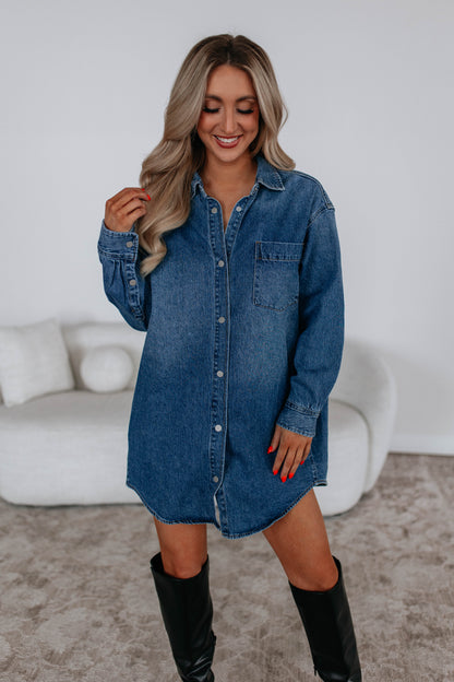 Reid Mica Denim Shirt Dress