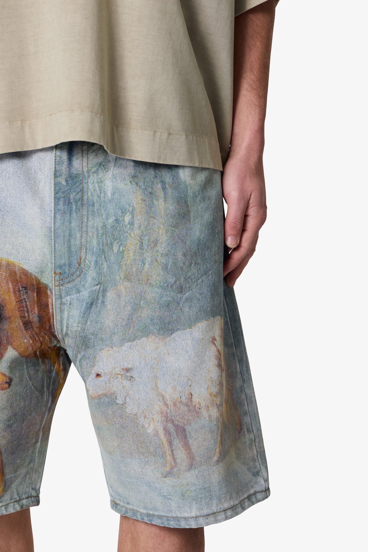 Sheep Hounded Denim Shorts - Multi